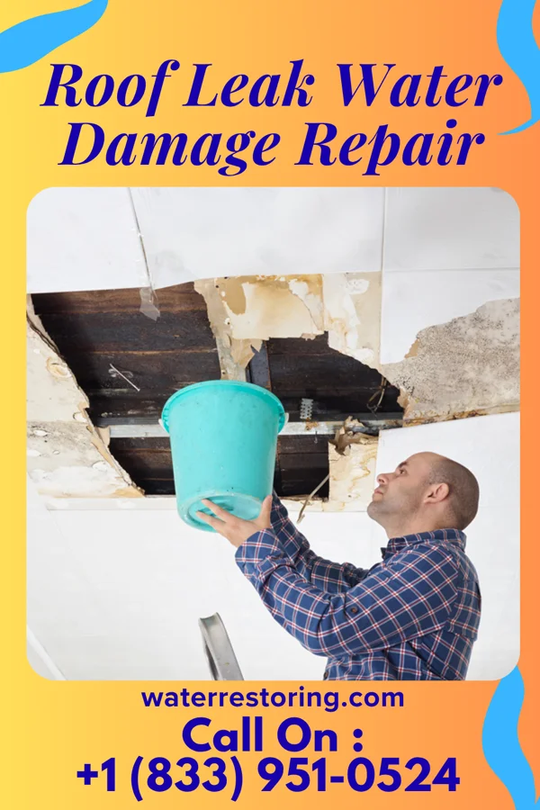 Roof Leak Water Damage Repair in Lodoga, CA
